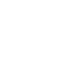 L.J. de Vries