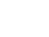 Vireo