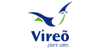 Vireo