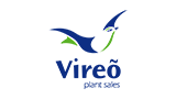 Vireo